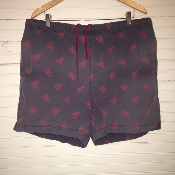 Polo Ralph Lauren Other - POLO SPORT BY RALPH LAUREN | LARGE | SWIM TRUNKS